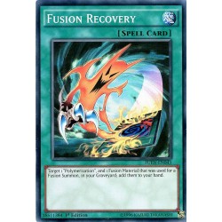 FUEN-EN043 Fusion Recovery
