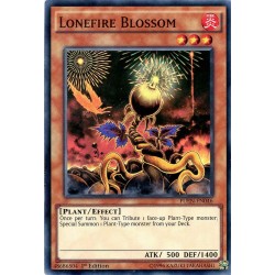 FUEN-EN046 Lonefire Blossom