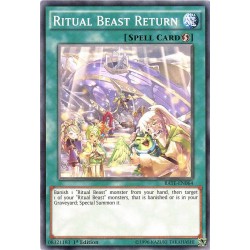 RATE-EN064 Ritual Beast Return