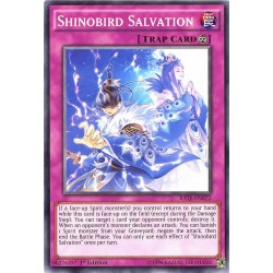 RATE-EN072 Shinobird Salvation