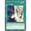 Yu-Gi-Oh TCG AMDE-EN044 R Xyz Import Amazing Defenders