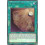 Yu-Gi-Oh TCG AMDE-EN059 R Piri Reis Map Amazing Defenders