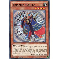 TDIL-EN029 Triamid Master