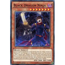 TDIL-EN036 Black Dragon Ninja
