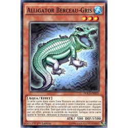 DOCS-FR033 Alligator...