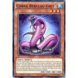 DOCS-FR034 Cobra Berceau-Gris