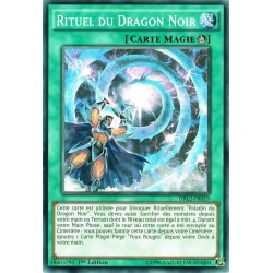 DRL2-FR019 Rituel du Dragon...