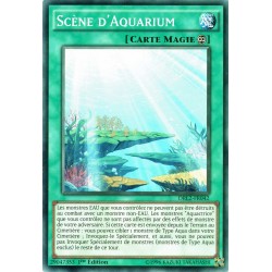 DRL2-FR042 Scène d'Aquarium