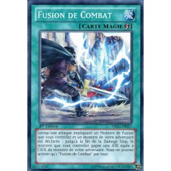 DRLG-FR017 Fusion de Combat