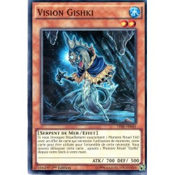 THSF-FR045 Gishki-Vision