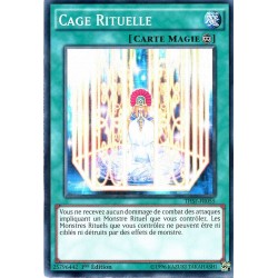 THSF-FR055 Cage Rituelle