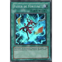 SOVR-FR051 Futur de Fortune