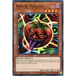 DASA-EN046 Mystic Tomato