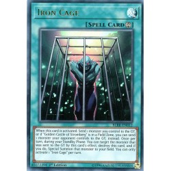 BLRR-EN012 Iron Cage