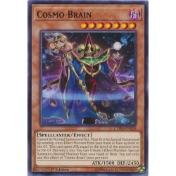 CYHO-EN020 Cervello del Cosmo