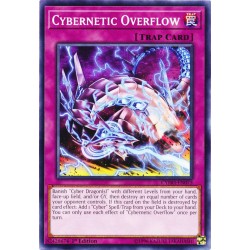 CYHO-EN073 Oveflow Cibernetico