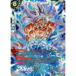 DBS TB1-097 SCR Son Goku,...