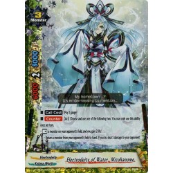 Buddyfight card...