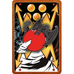 Buddyfight card S-BT02/BR03...