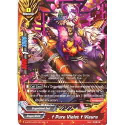 Buddyfight card...