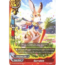 Buddyfight card...