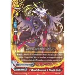 Buddyfight card...