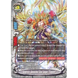 Buddyfight card...