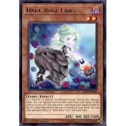 YGO LED4-EN024 Dark Rose Fairy