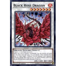 YGO LED4-EN028 Dragon Rose...