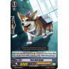 Vanguard_TCG_card_G-BT09_050EN_C_First_Aid_Corgi_Divine_Dragon_Caper