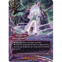 Buddyfight card...