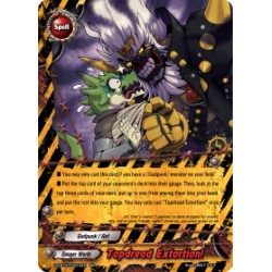 Buddyfight card...