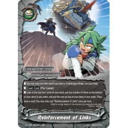 Buddyfight card...