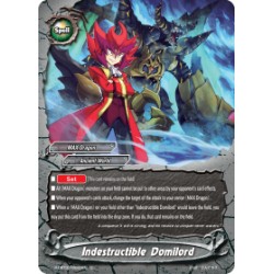 Buddyfight card...