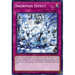 YGO DANE-EN079 Snowman Effect