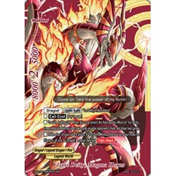 Buddyfight card S-BT05/BR02...