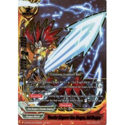 Buddyfight card...