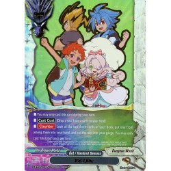 Buddyfight card...
