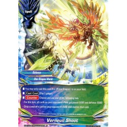 Buddyfight card...