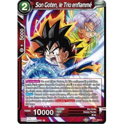 DBS BT7-009 C Son Goten, le...