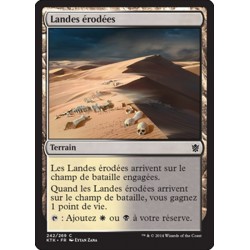 MTG 242/269 Verlassene Ödnis