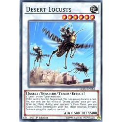 YGO CHIM-EN082 Desert Locusts