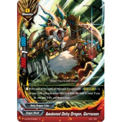 Buddyfight card...