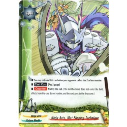 Buddyfight card...