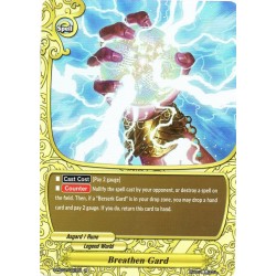 Buddyfight card...