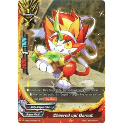 Buddyfight card...