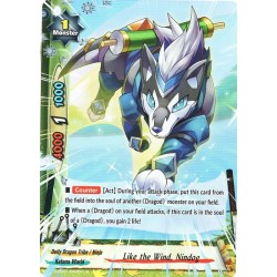 Buddyfight card...