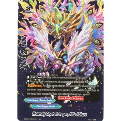 Buddyfight card...