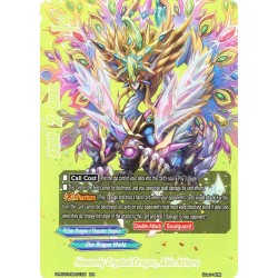 Buddyfight card...