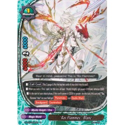 Buddyfight card...
